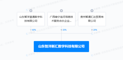 智洋创新投资新设数字科技公司